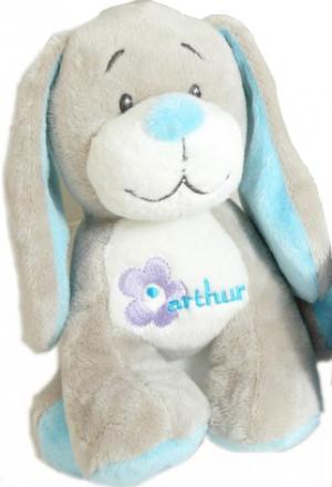 Peluche chien Arthur bleu et gris Arthur et Lola - Bébisol, Marques pharmacie