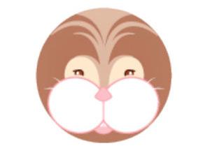 Tête Les Bouilles de doudou lapin - DC1438DL Doudou et compagnie